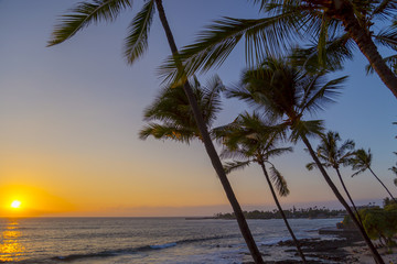 Fototapeta na wymiar Sonnenuntergang mit Palmen