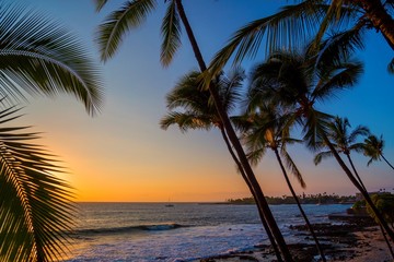 Sonnenuntergang mit Palmen