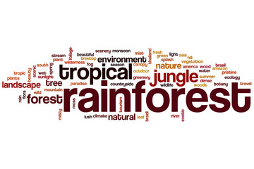 Rainforest word cloud