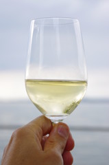 wine glass sea