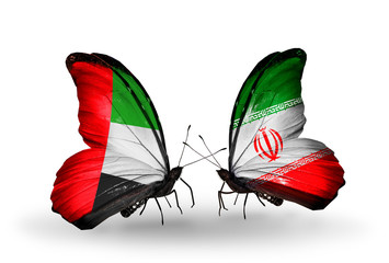 Fototapeta na wymiar Two butterflies with flags UAE and Iran