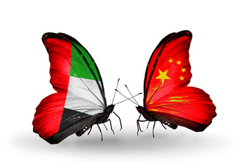 Two butterflies with flags UAE and China