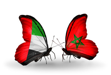 Two butterflies with flags UAE and Morocco