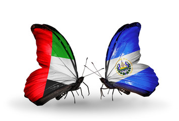 Two butterflies with flags UAE and Salvador
