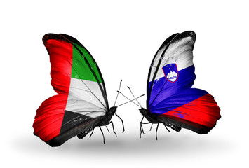 Two butterflies with flags UAE and Slovenia