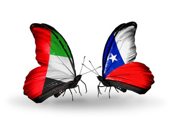 Two butterflies with flags UAE and Chile