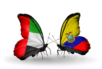 Two butterflies with flags UAE and Ecuador