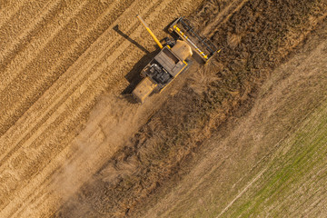 erial view of combine on harvest field