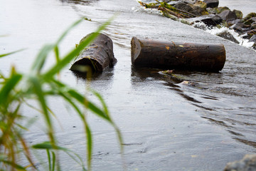 Regen