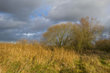 Deteriorating weather over nature in autumn