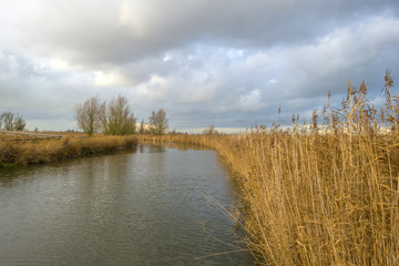 Deteriorating weather over the shore of a river at fall