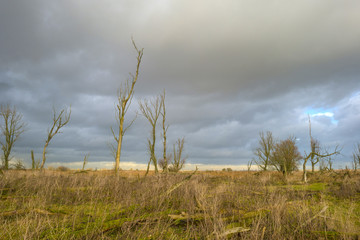 Obraz premium Deteriorating weather over nature in autumn