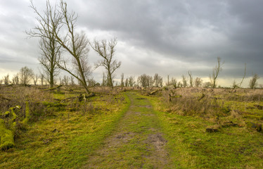 Deteriorating weather over nature in autumn