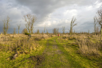 Deteriorating weather over nature in autumn
