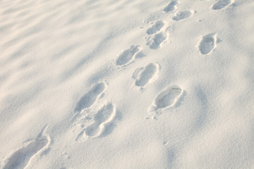 Fototapeta na wymiar Footprints in snow background