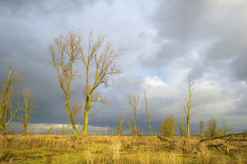 Deteriorating weather over nature in autumn
