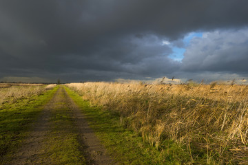 Deteriorating weather over a footpath along reed at fall