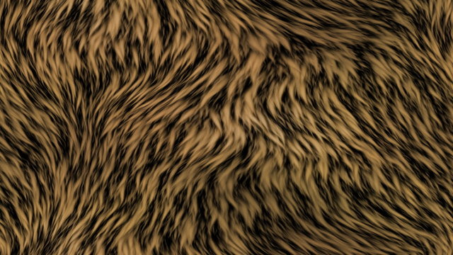 Fur generated seamless loop video