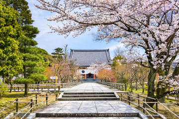 Fototapeta premium Springtime Temple in Kyoto, Japan at Chishaku-in Temple