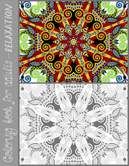 coloring book page for adults - flower paisley design