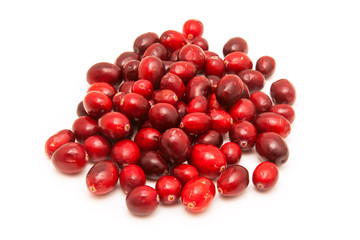 Fresh American Cranberries
