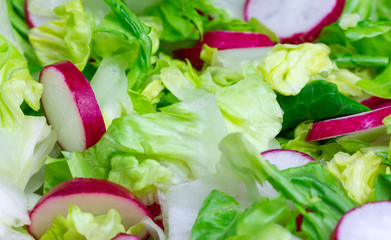 Fresh radish salad detail