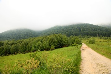 Nature. Road in the mountains. Summer landscape.