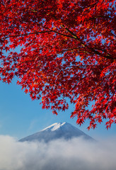 Mount Fuji with autumn colors