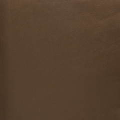 Fototapeta premium Brown leather