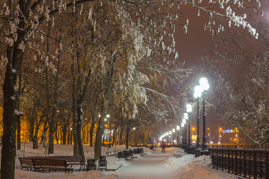 Winter park in the evening covered with snow