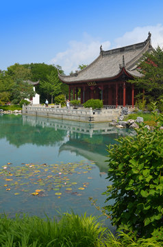 Chinese Garden, Botanical garden Montreal