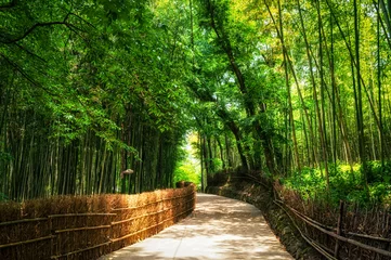 Gordijnen Een kleine weg door het bamboebos. © aaron90311