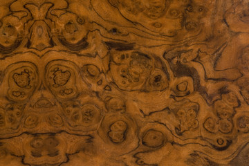 クラロウォルナットの板