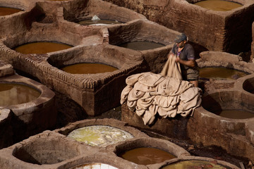 Tannery in Fez, Morocco