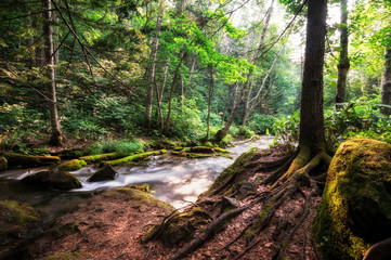 Small cascading waterfall in a creek taken in Biei, Japan.