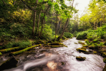 Obraz premium Small cascading waterfall in a creek taken in Biei, Japan.