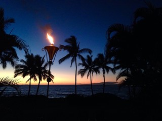 Tiki Torches and Palm Trees