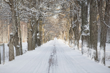 Winter Alley with selective focus