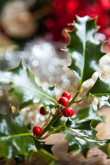 holly christmas
