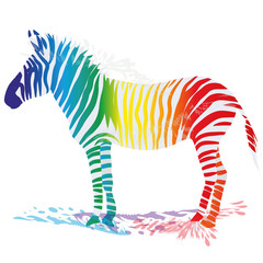 Fototapeta na wymiar Zebra mit farbigen Streifen