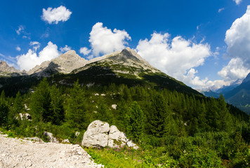 Fototapeta na wymiar Beautiful landscape of Dolomites. Mountains and Trees in summer