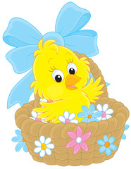 Easter Chick in a basket with flowers