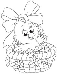Fototapeta premium Easter Chick in a basket with flowers