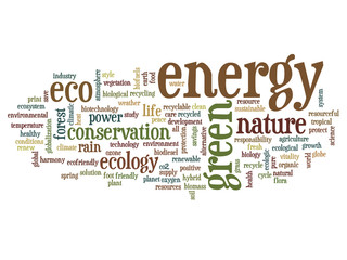 Conceptual ecology word cloud