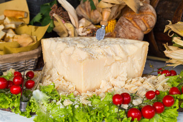 Parmesan cheese. Decorative food arrangement