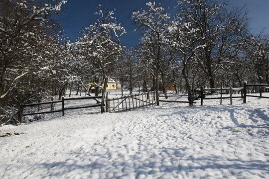 Fototapeta winter morning