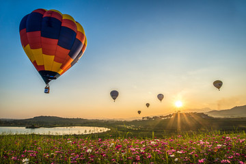 Naklejka premium Hot air balloons flying over the cosmos flowers