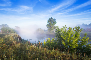 Obraz na płótnie Canvas Foggy morning on the river