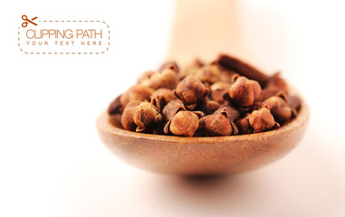 cloves with clipping path