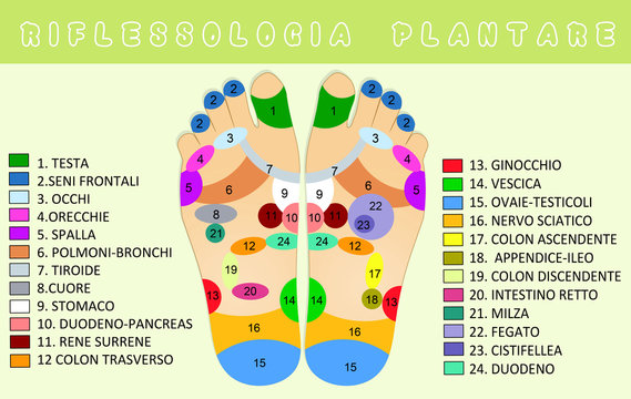 reflexology